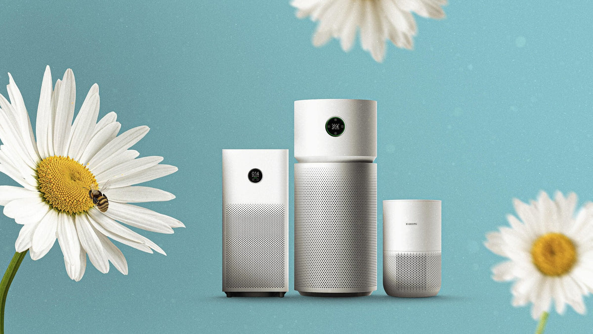 Purifier Banner Blog 3