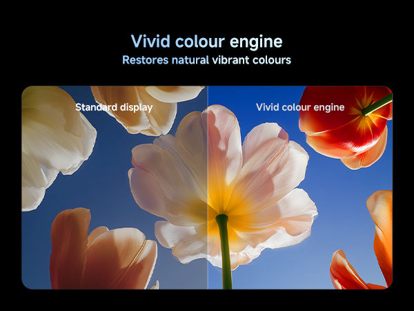 Xiaomi TV S Mini LED 65 Inch 2026