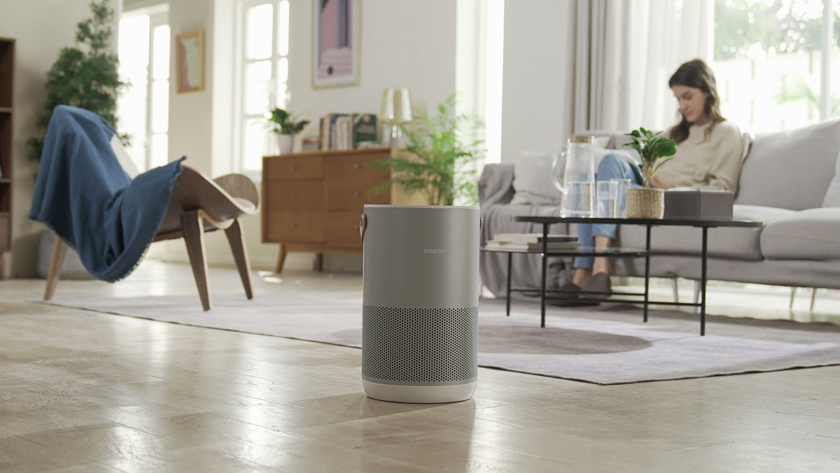 Xiaomi SmartMi Air Purifier P1