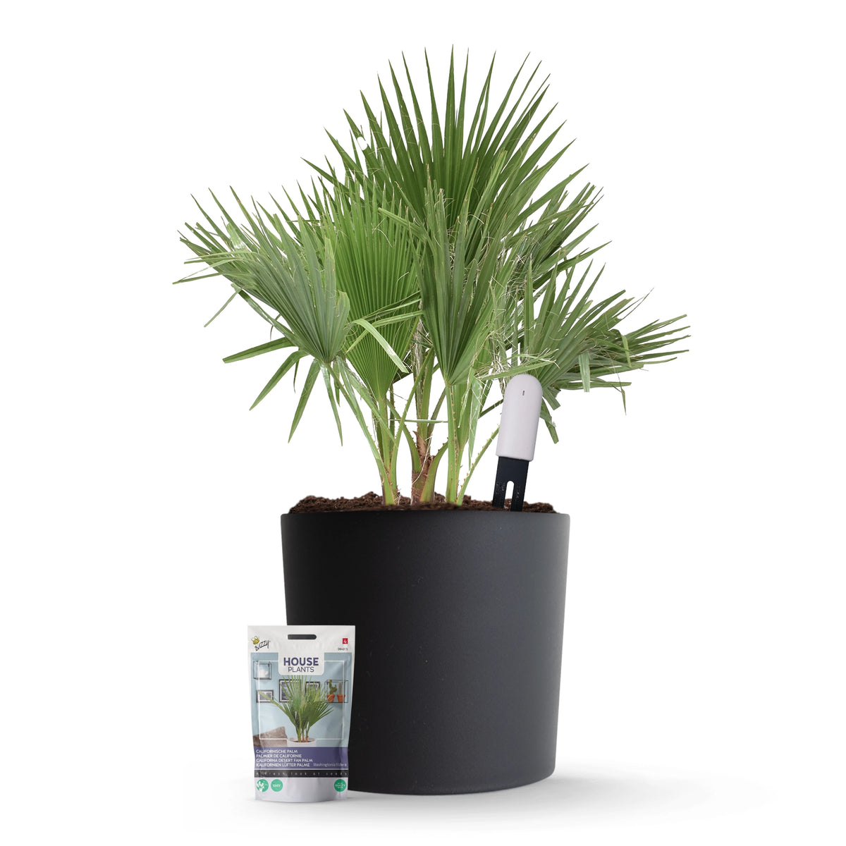 Xiaomi Plant Sensor Starterspakket