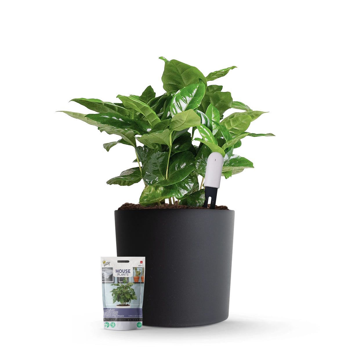 Xiaomi Plant Sensor Starterspakket