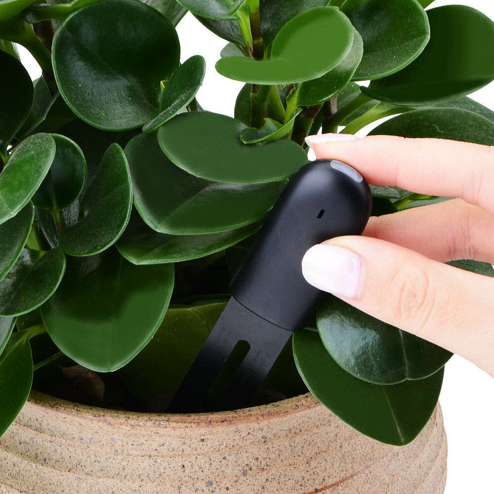Xiaomi Mi Flower Care Touch Sensor