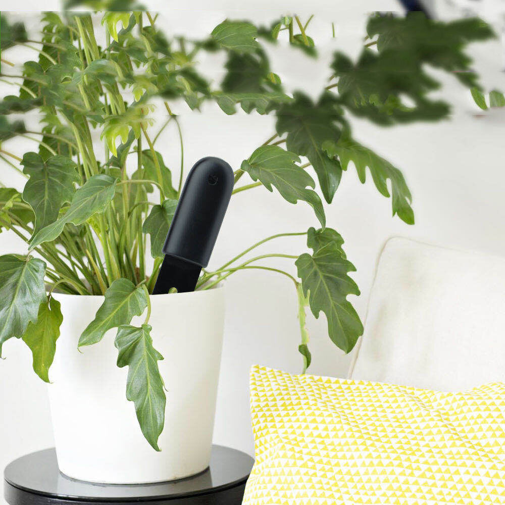 Xiaomi Mi Flower Care Touch Sensor