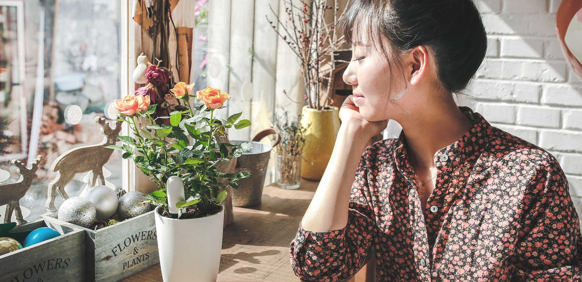 Xiaomi Mi Flower Care Plant Sensor