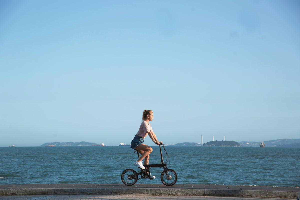 Xiaomi Mi Qicycle Folding Bike