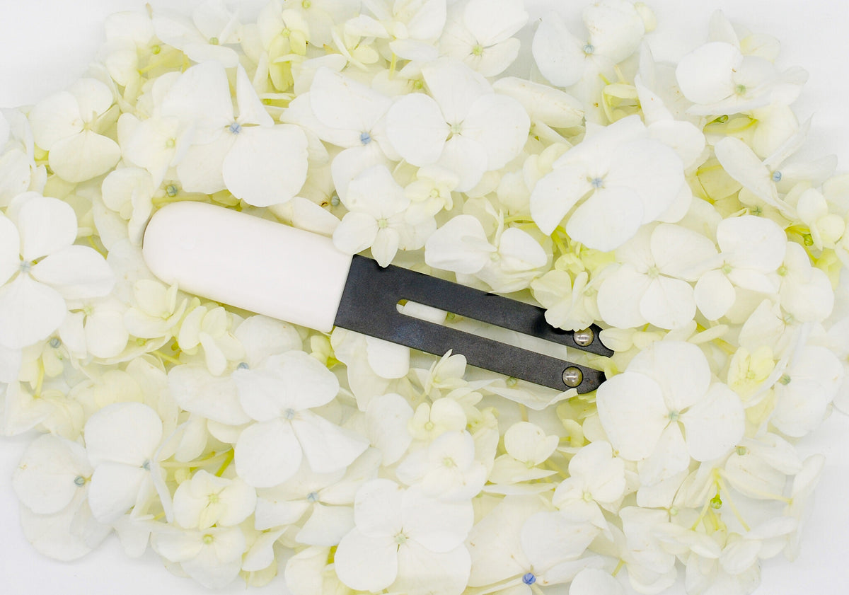 Xiaomi Mi Flower Care Plant Sensor