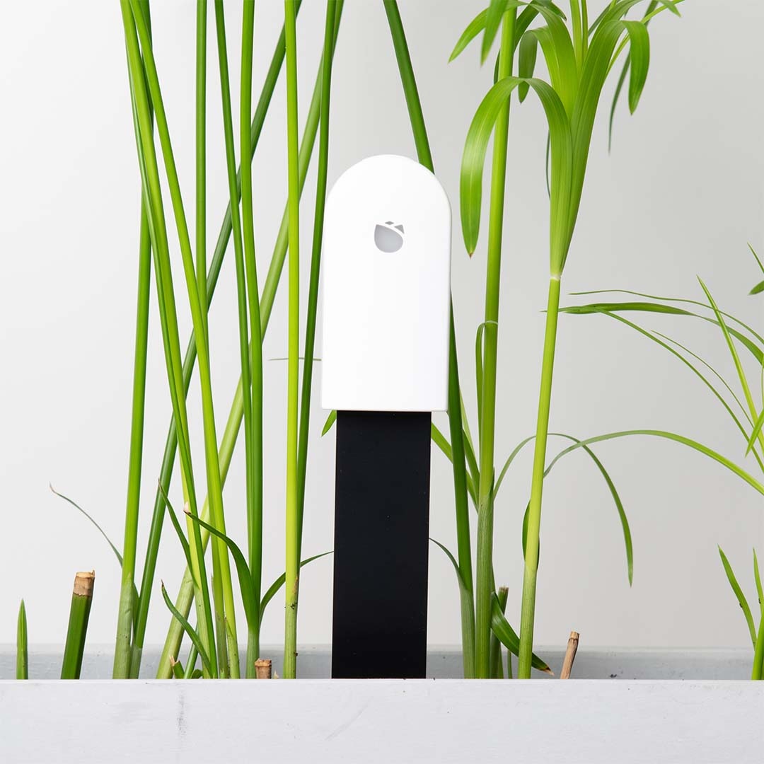 Xiaomi Mi Flower Care Plant Sensor Max