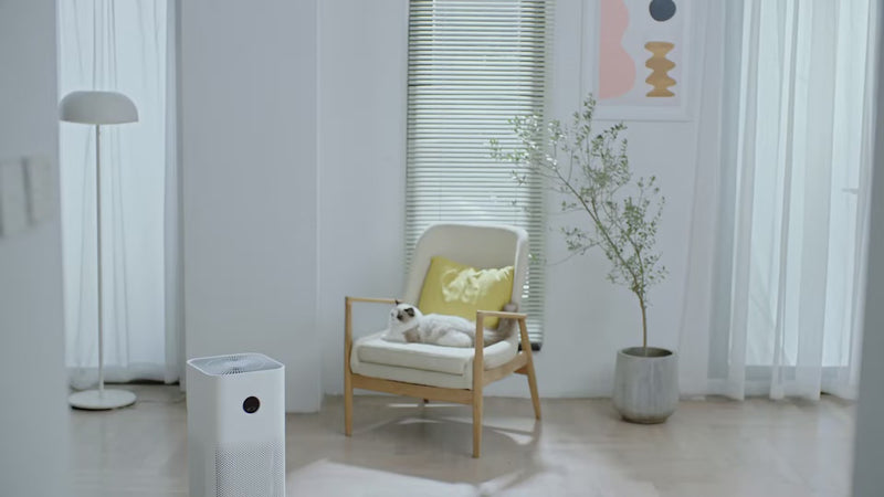 YouTube thumbnail: Xiaomi Purifier 4 Lite luchtreiniger compact design met "COMPACT" badge