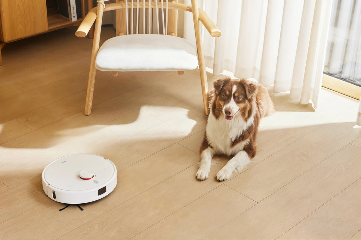 Xiaomi Robot Vacuum H50 robotstofzuiger zuigt huisdierenhaar op terwijl een hond toekijkt