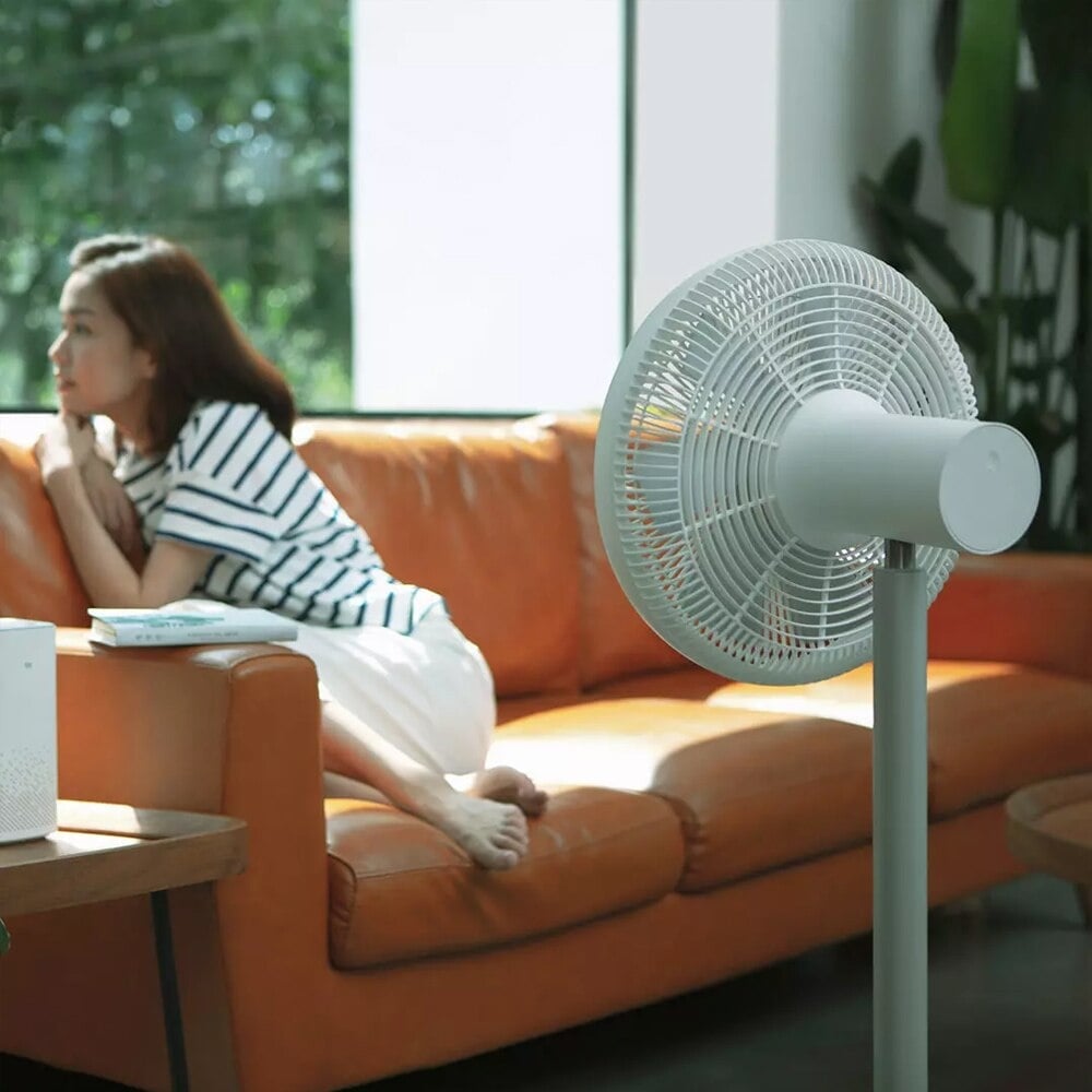 Xiaomi SmartMi Standing Fan 3
