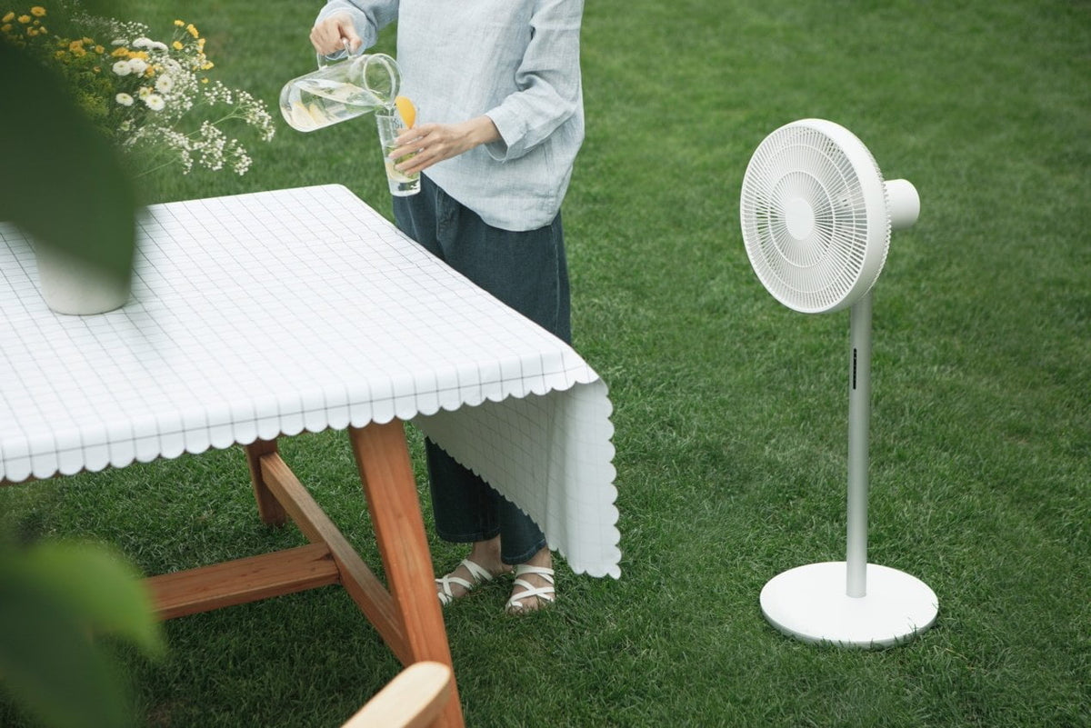 Xiaomi SmartMi Standing Fan 3