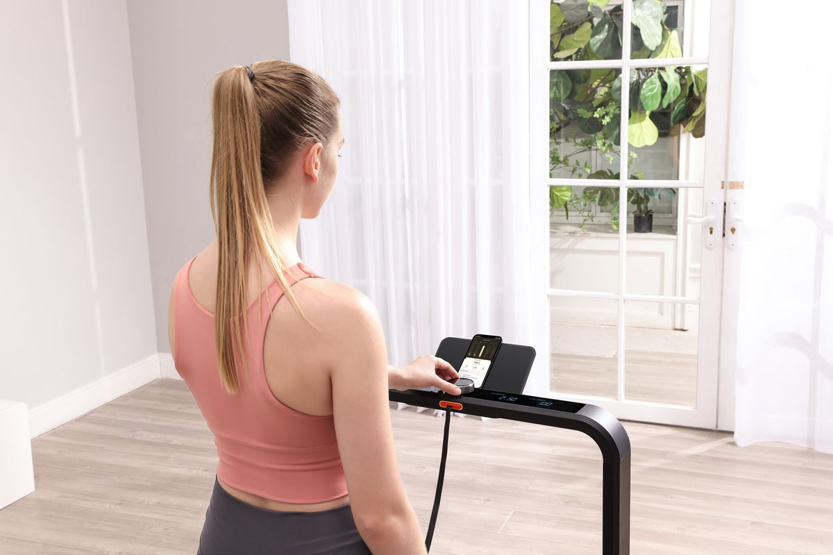 Xiaomi KingSmith Treadmill X21