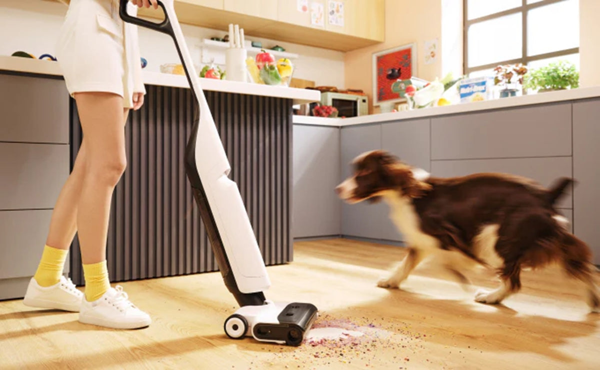 Xiaomi Roborock Flexi Lite