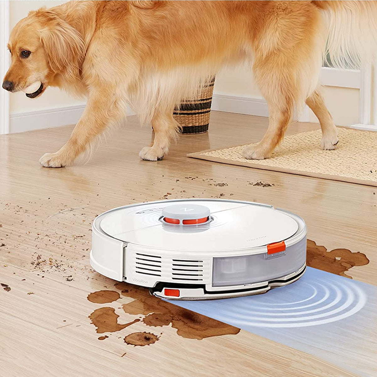 Xiaomi Roborock S7+