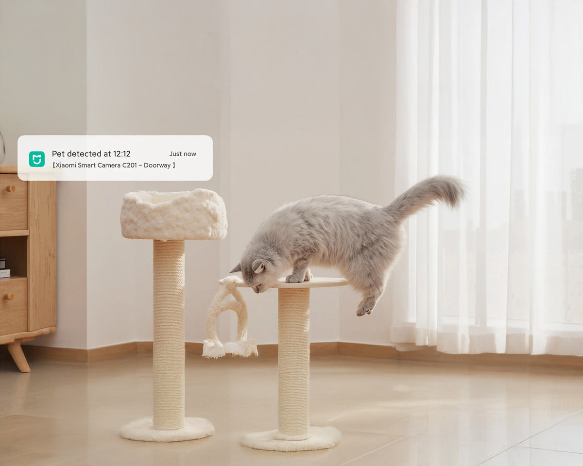 Xiaomi Smart Camera C201