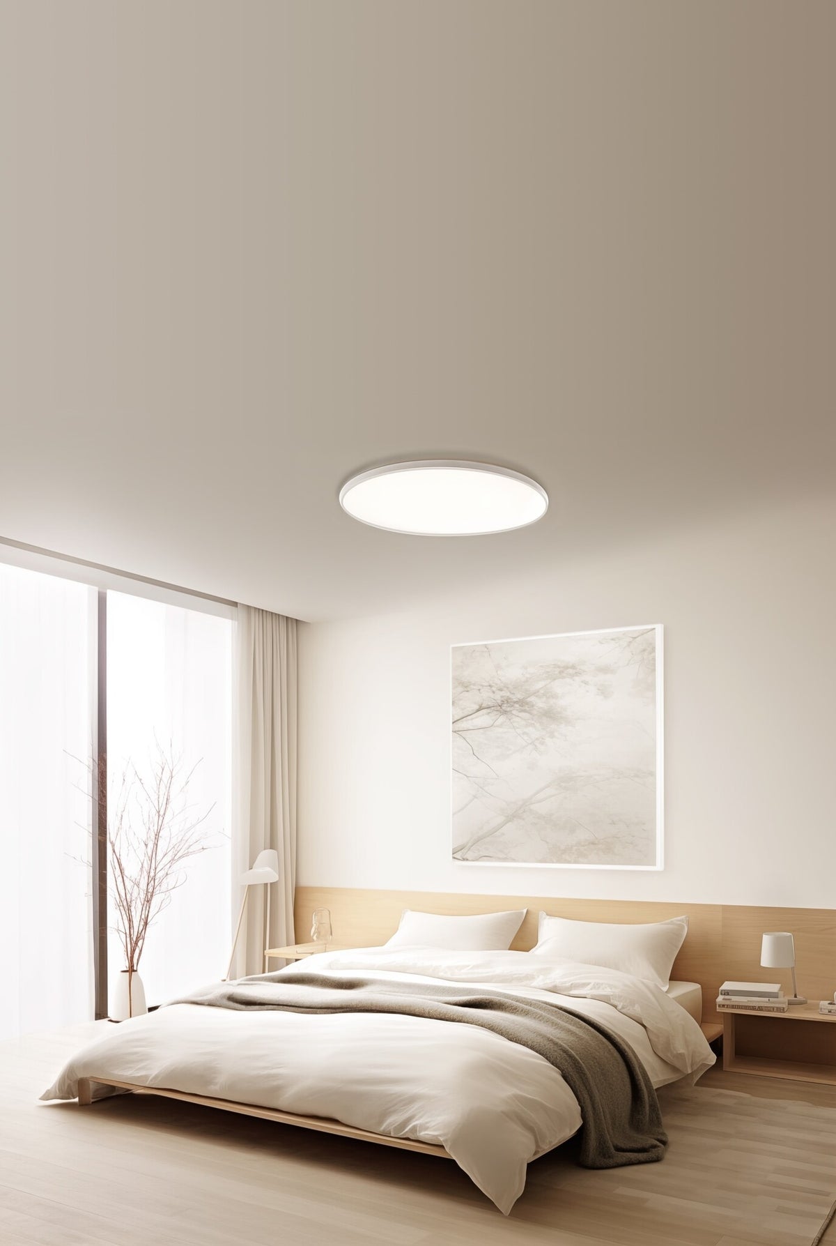 Xiaomi Smart Ceiling Light D30