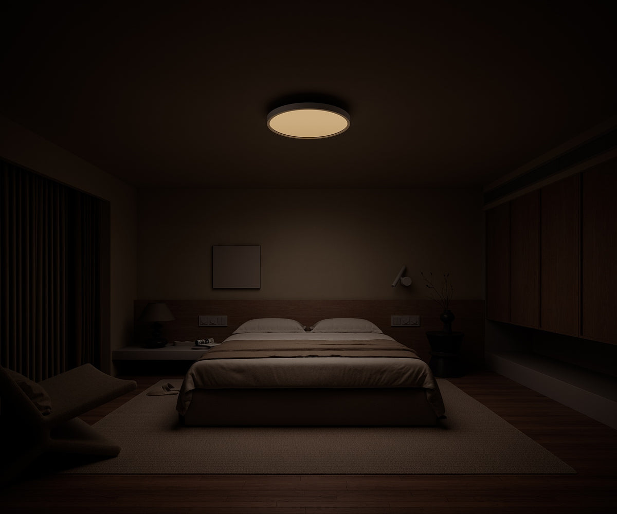 Xiaomi Smart Ceiling Light D40
