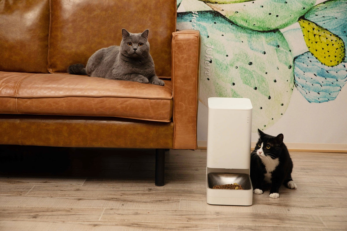 Xiaomi Smart Pet Food Feeder