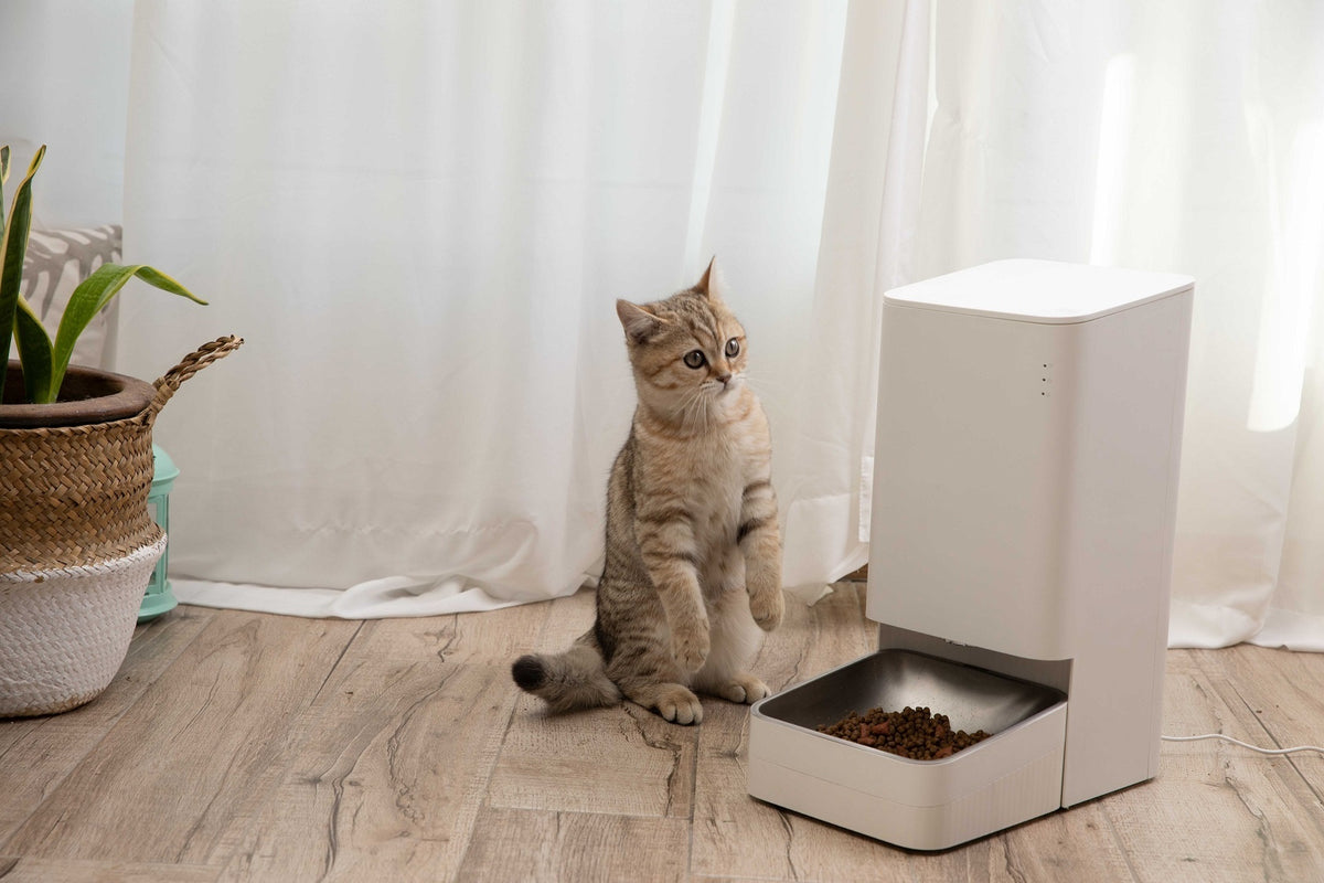 Xiaomi Smart Pet Food Feeder