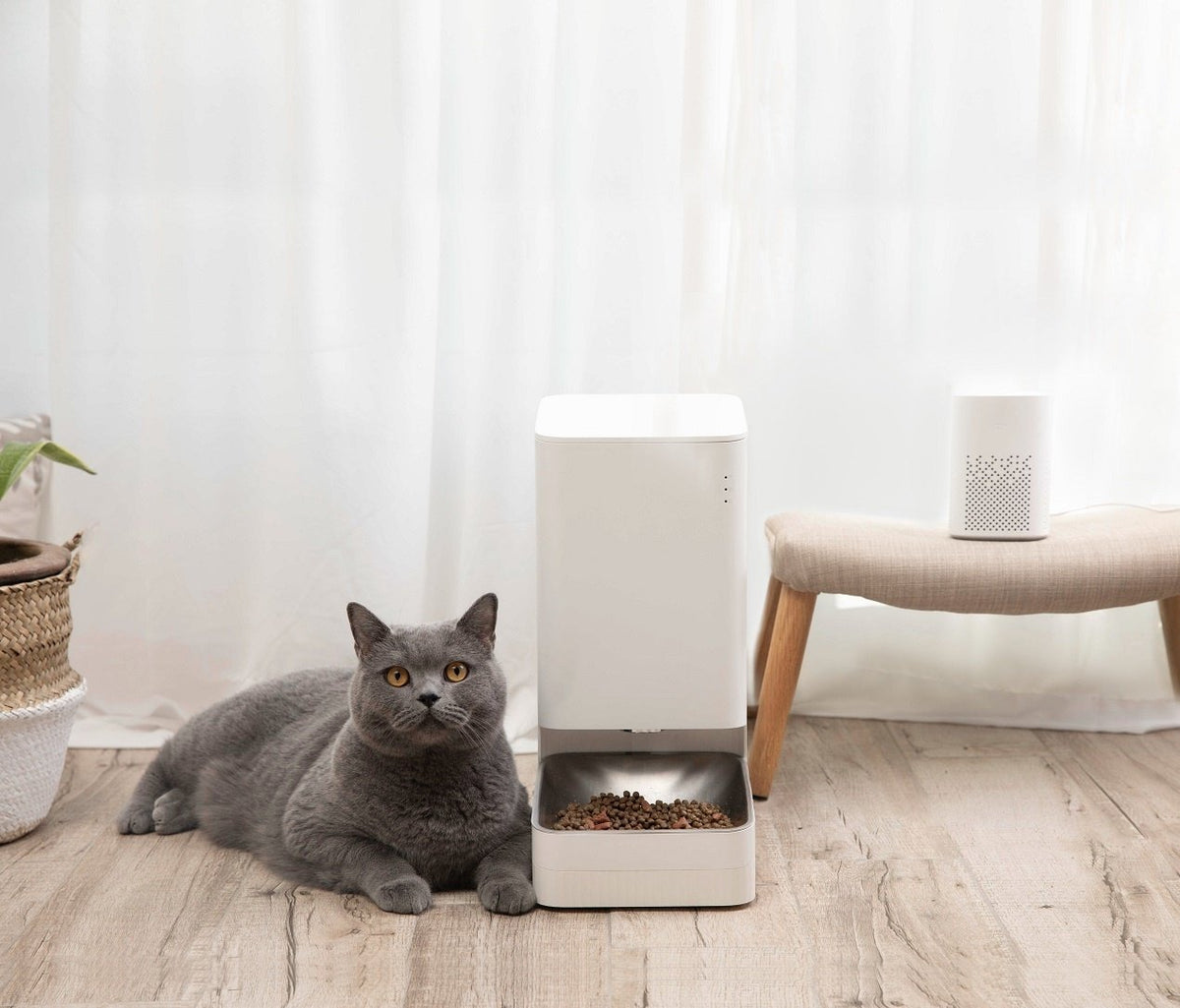 Xiaomi Smart Pet Food Feeder