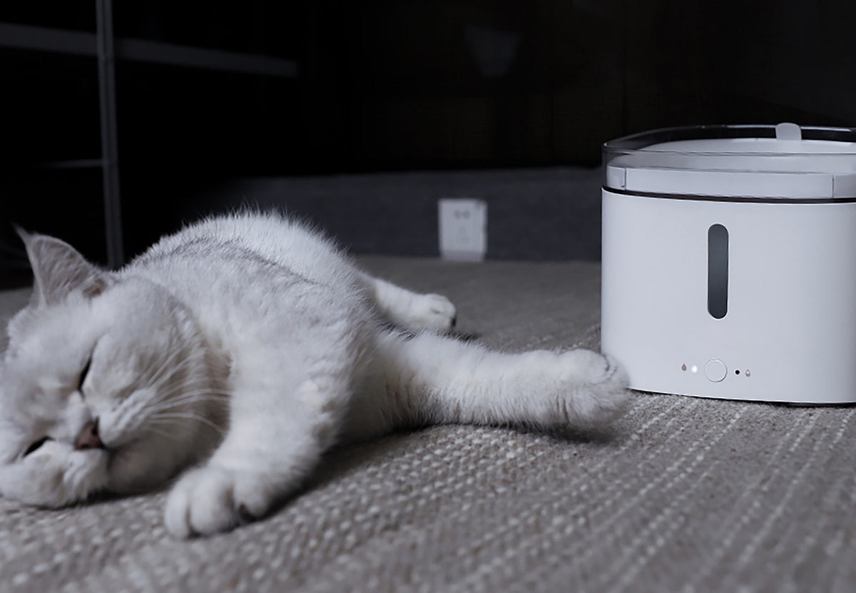 Xiaomi Smart Pet Fountain