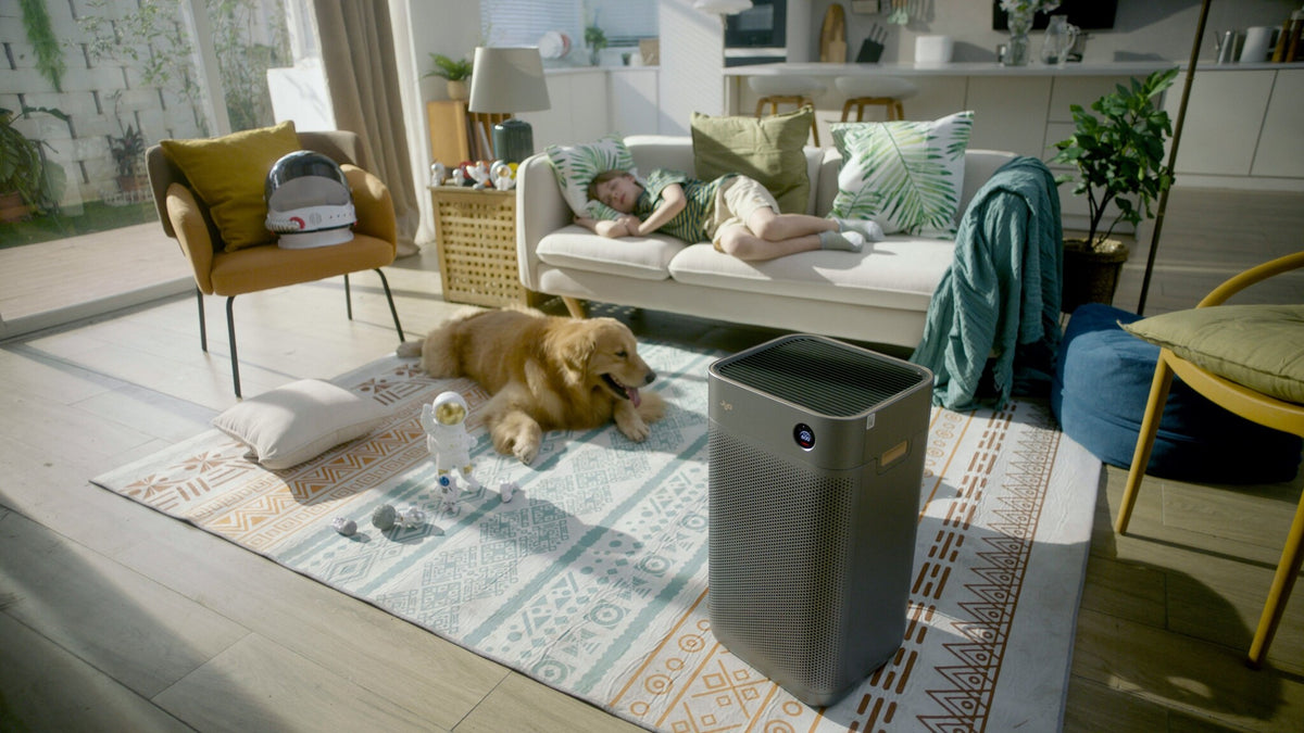 Xiaomi Smartmi Jya Fjord Air Purifier