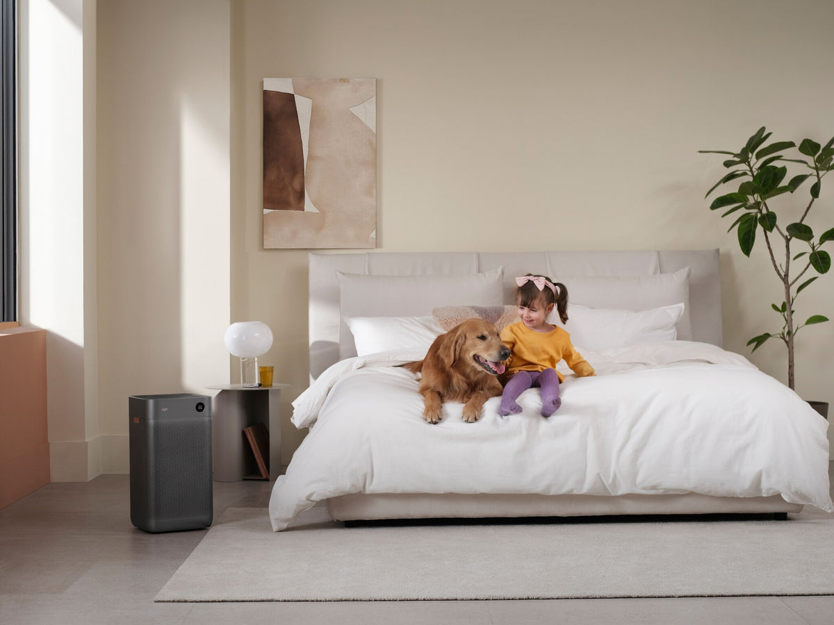 Xiaomi Smartmi Jya Fjord Air Purifier