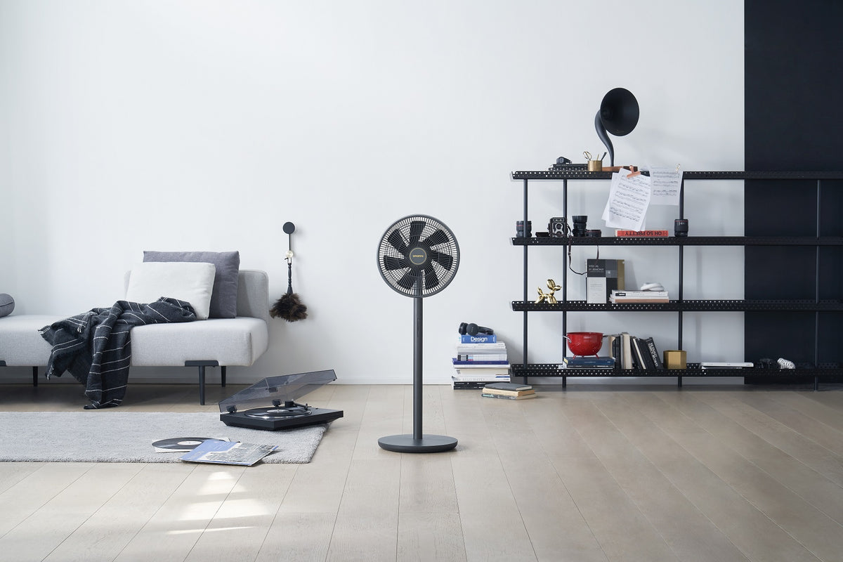 Xiaomi SmartMi Standing Fan 3
