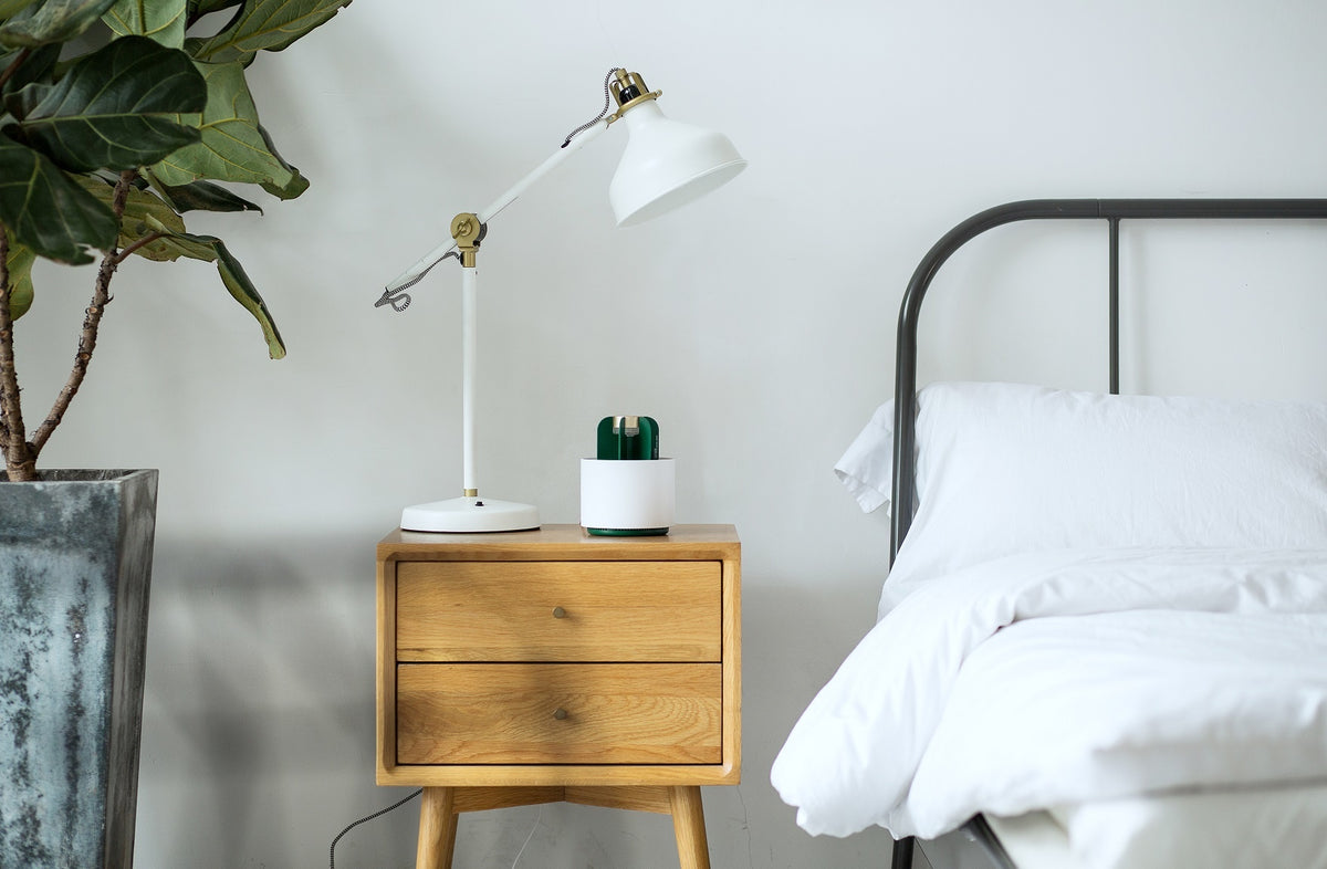 Xiaomi Sothing Cactus Mosquito Insect Killer Lamp