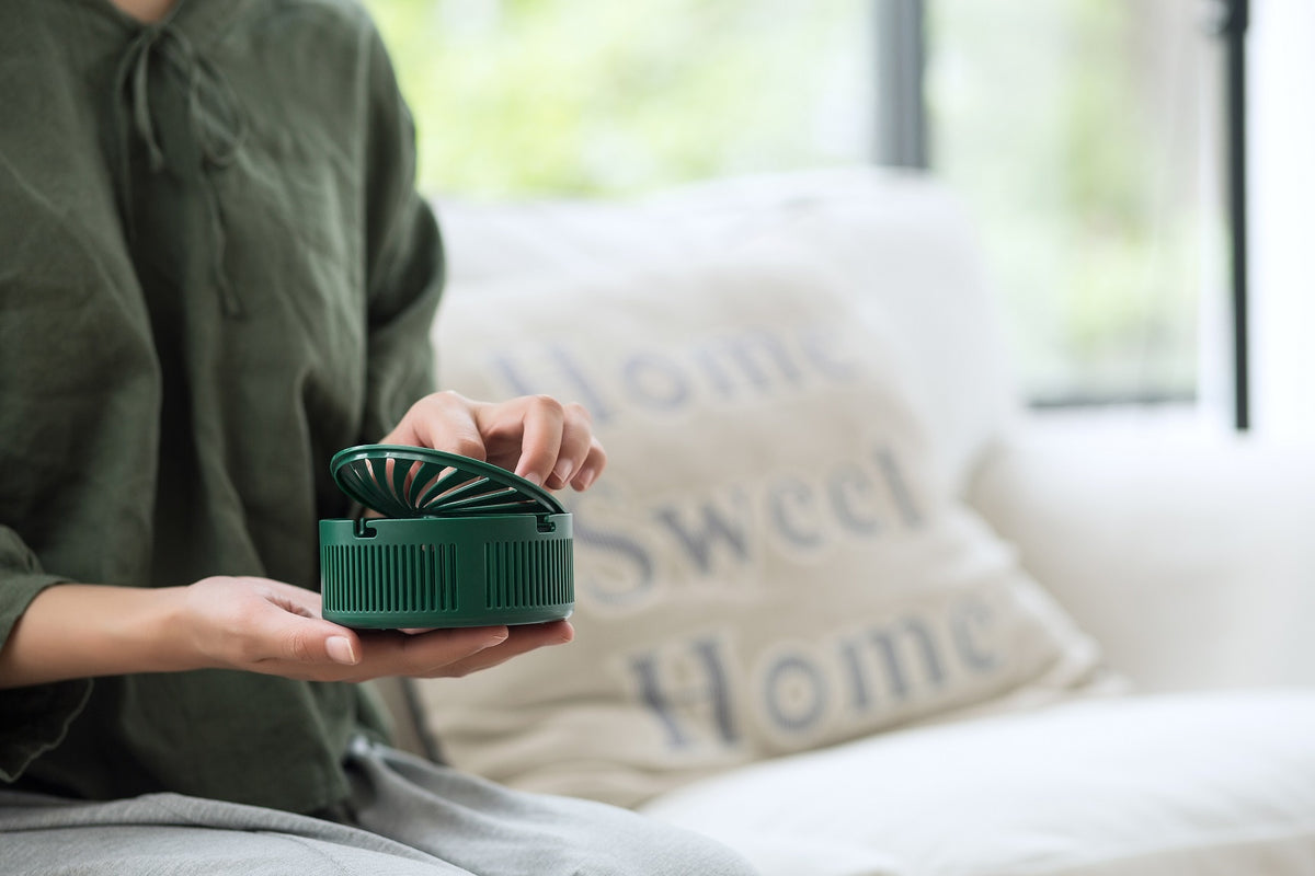 Xiaomi Sothing Cactus Mosquito Insect Killer Lamp