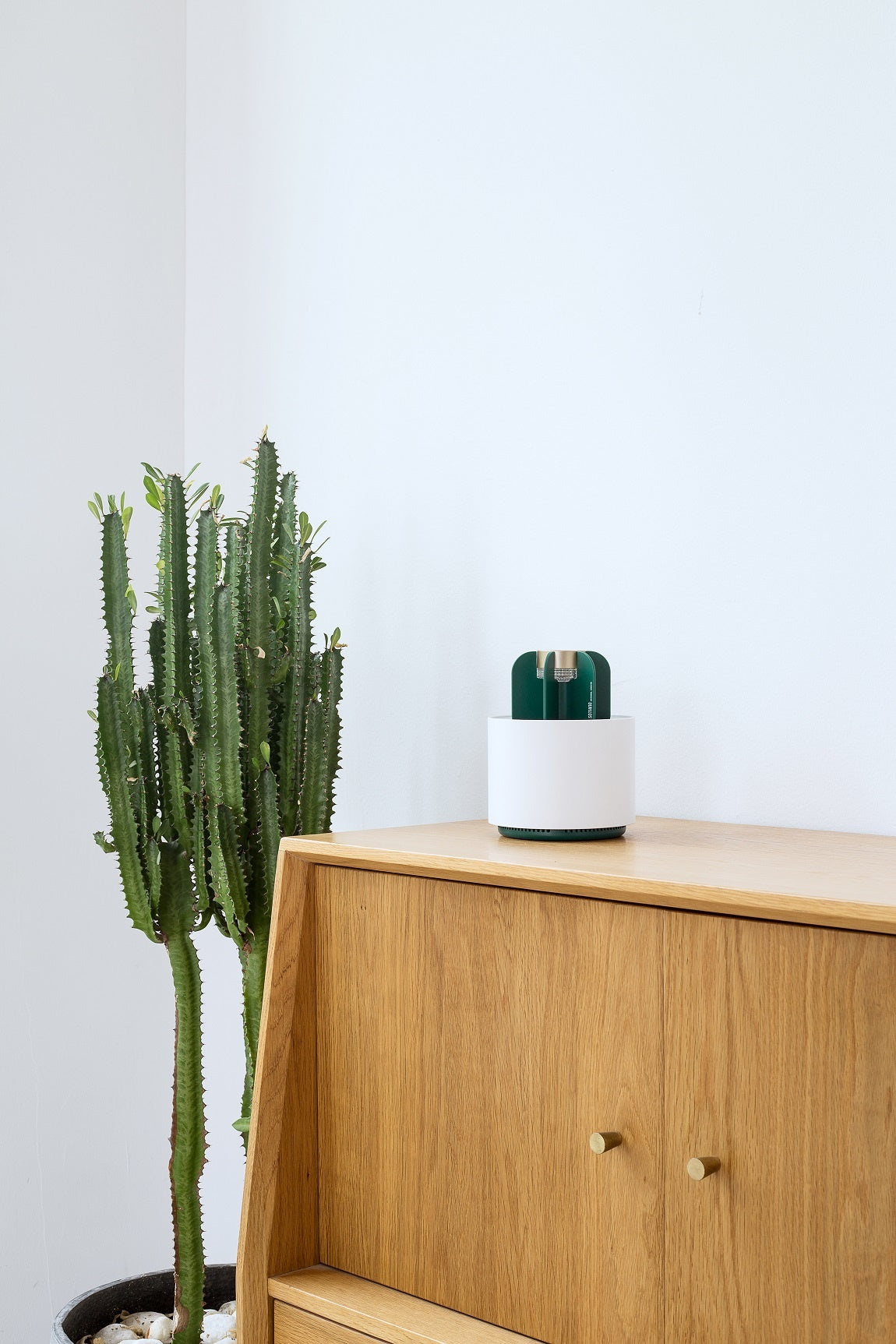 Xiaomi Sothing Cactus Mosquito Insect Killer Lamp