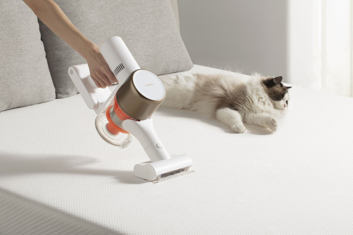 Aspirateur Xiaomi G10 Plus