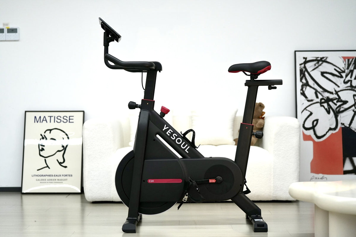 Xiaomi Yesoul Spinning Bike C1A