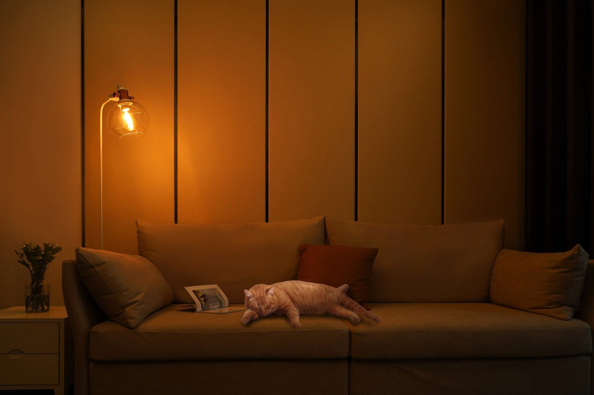 Xiaomi Yeelight Smart LED Filament Bulb ST64 YLDP23YL